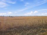 TBD-20 acres Tbd Cr 255 - Photo 8