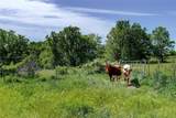 0 PR 3637 Private Road 3637 Road - Photo 7