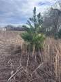 TBD Cr 4402 - Photo 5