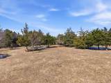 TBD 11 Acres County Road 352 - Photo 15