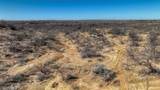 220 ac Hwy 281 S Highway - Photo 10