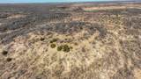 220 ac Hwy 281 S Highway - Photo 8