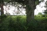 355 Cr 3204 - Photo 5