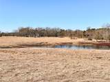 0 Hwy 155 & Cr 435 - Photo 4