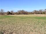 TBD 117 acres Anthony Road - Photo 13