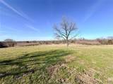 TBD 117 acres Anthony Road - Photo 6