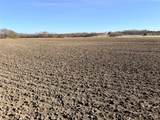 TBD 117 acres Anthony Road - Photo 9