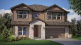 11417 Winged Elm Way - Photo 1