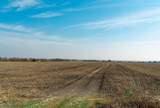 18402 Manda Carlson Road - Photo 11