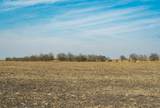 18402 Manda Carlson Road - Photo 9