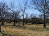 TBD lot 4 Old Pidcoke Road - Photo 13