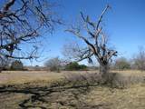 TBD lot 4 Old Pidcoke Road - Photo 2
