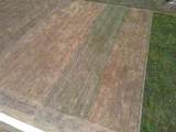9141 County Road 101A - Photo 3