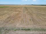 9141 County Road 101A - Photo 5