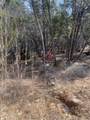 3217 Lakeside Drive - Photo 5