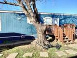 709 Collins Freeway - Photo 8