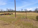 742 County Road 1144 - Photo 9