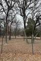TBD-1 Kimbrough Road - Photo 3