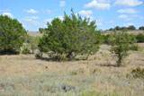 621 Fm 572 - Photo 23