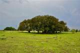 621 Fm 572 - Photo 8