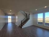 4457 Lyre Leaf Drive - Photo 10