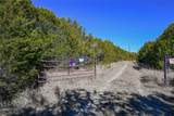 7385 Hayworth Highway - Photo 2