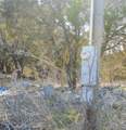 7385 Hayworth Highway - Photo 5