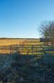 4312 Shawver Road - Photo 3