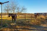 4312 Shawver Road - Photo 6