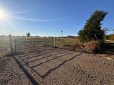 2497 County Road 3320 - Photo 4