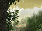 TBD Chavez Trail - Photo 18