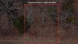 118 Pocahontas Street - Photo 4