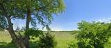 4000 Lois Road - Photo 3