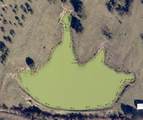 1648 Acres TBD Highway 2318 - Photo 13