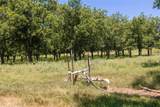 1648 Acres TBD Highway 2318 - Photo 21