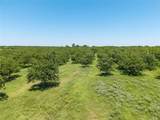 1648 Acres TBD Highway 2318 - Photo 3