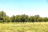 1648 Acres TBD Highway 2318 - Photo 5
