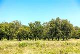1648 Acres TBD Highway 2318 - Photo 6