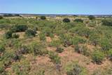 131.7 Acres Roney Road - Photo 10