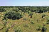 131.7 Acres Roney Road - Photo 11