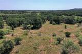 131.7 Acres Roney Road - Photo 12