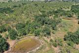 131.7 Acres Roney Road - Photo 13