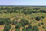131.7 Acres Roney Road - Photo 14