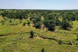 131.7 Acres Roney Road - Photo 15