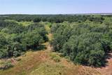 131.7 Acres Roney Road - Photo 17