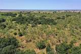 131.7 Acres Roney Road - Photo 18