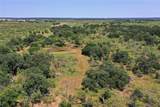 131.7 Acres Roney Road - Photo 19