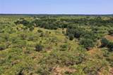 131.7 Acres Roney Road - Photo 20