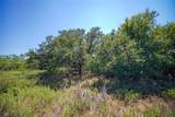 131.7 Acres Roney Road - Photo 21