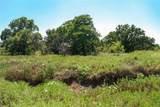 131.7 Acres Roney Road - Photo 22